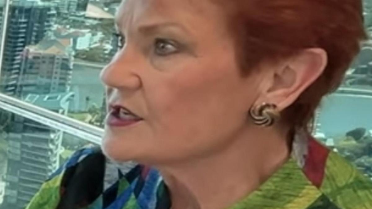 One Nation leader Pauline Hanson calls Indigenous Australians ‘primitive race’