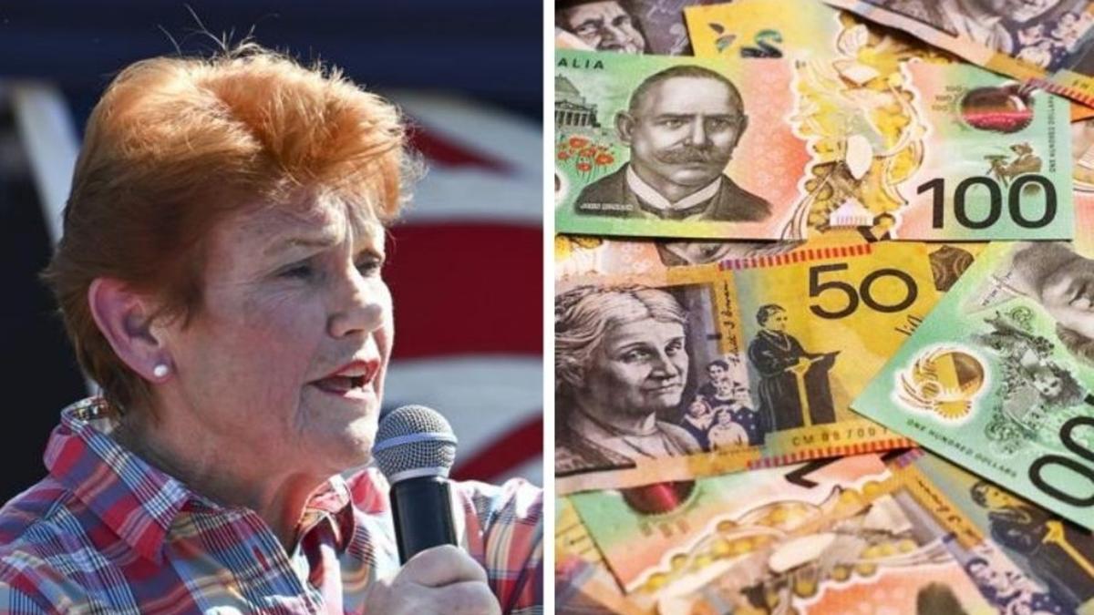One Nation pitches tax-free super withdraws to ‘struggling’ Australians