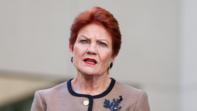 One Nation reveals ‘net-negative’ migration plan that would slash 750,000 visas