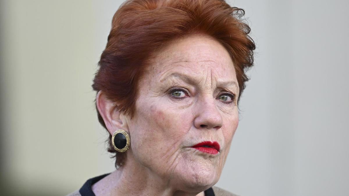 One Nation’s plan to slash immigration by 750k over three years draws criticism from Labor, Liberals, business