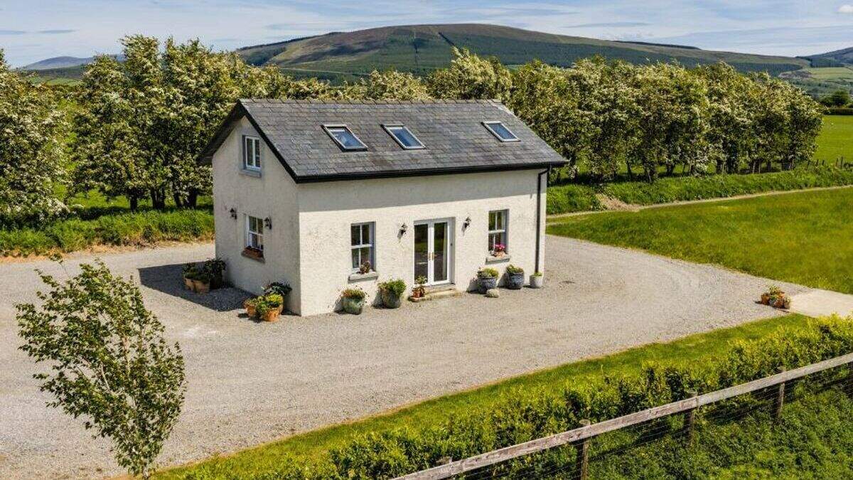 One-bed Wicklow home on one-acre site now set for auction at €250,000