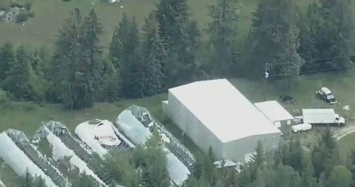 Only 1 person charged after RCMP dismantle Canada’s largest super lab