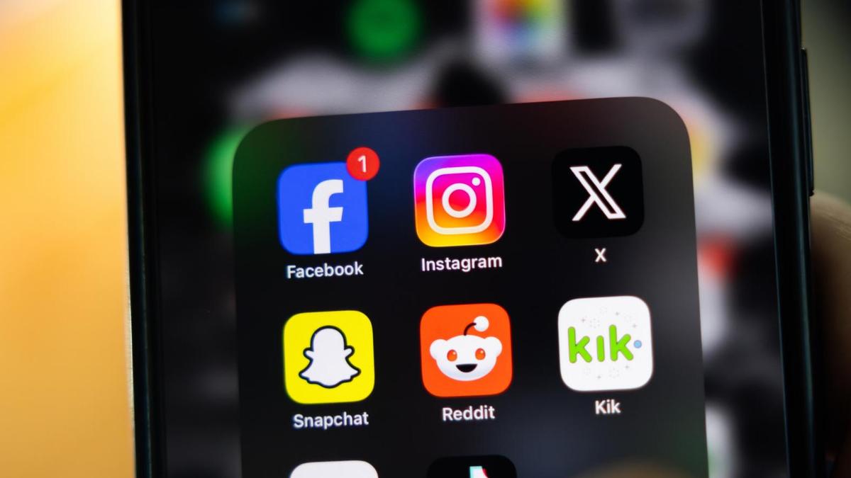 Opposition Leader Angus Taylor ‘deeply sceptical’ of looming social media crackdown