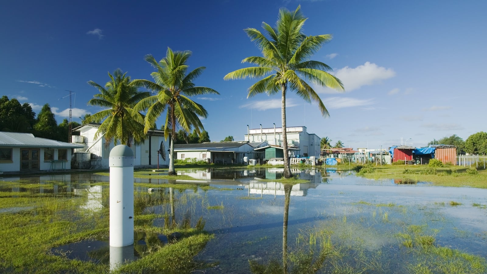 Pacific islands warned of food shortages due to warming