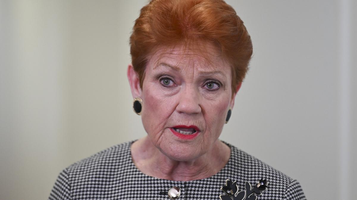 Pauline Hanson accuses Treasurer Jim Chalmers of being ‘hysterical’ after he slams One Nation’s super plan