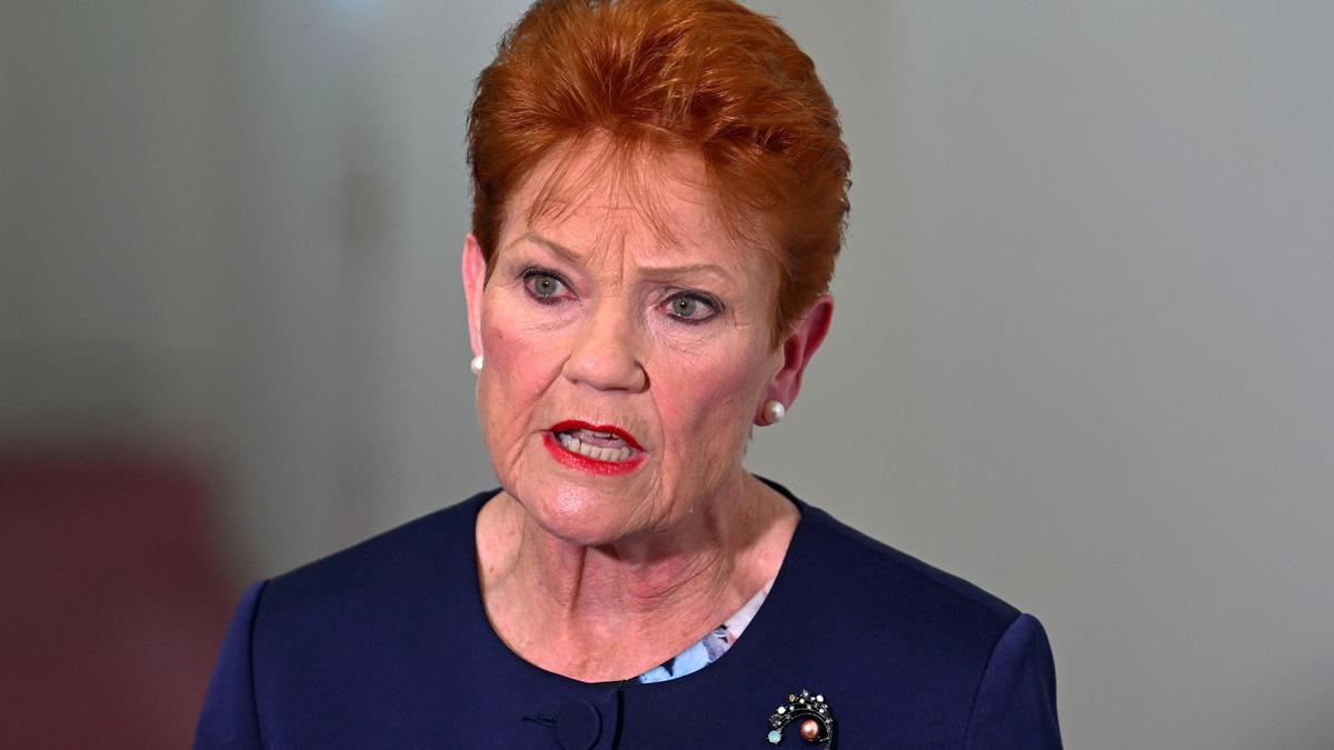 Pauline Hanson gives partial apology to Indigenous Australians following ‘primitive’ comments