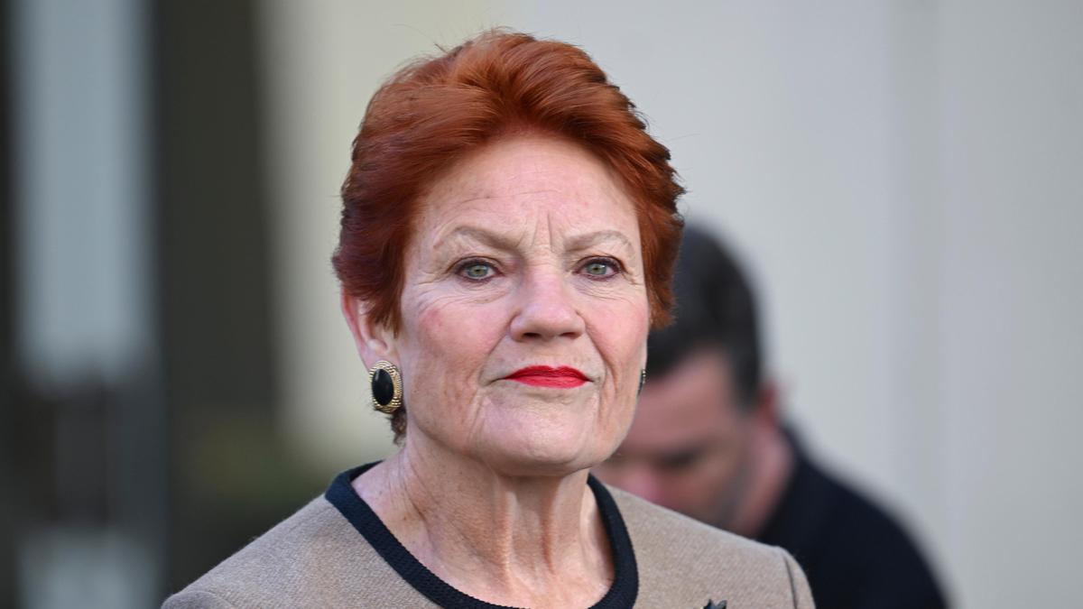 Pauline Hanson vows to ‘reset Australia’s immigration system’ by slashing temporary visa holders