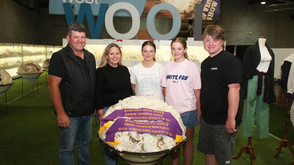 Perth Royal Show: 100 fleeces go for top awards