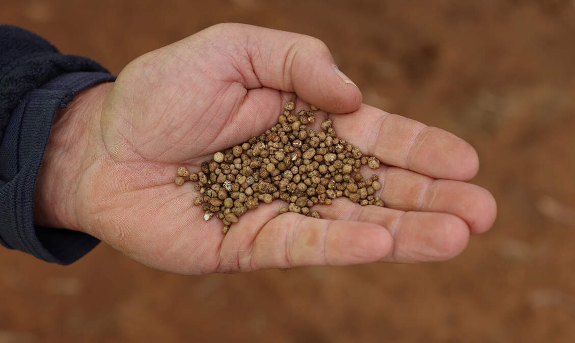 Phosphate crunch set to persist until next summer, says Rabobank