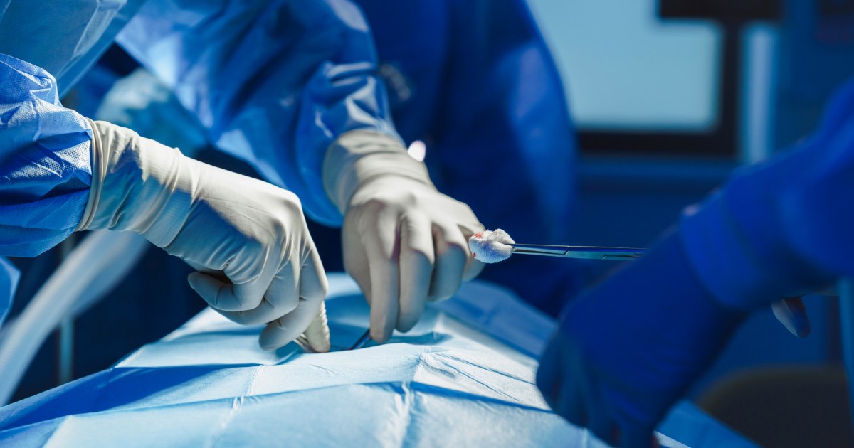 Pig kidney works for a record 271 days inside the body of American patient