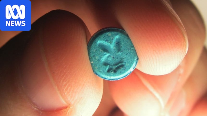 Pill testing to be made permanent at up to 15 music festivals a year in NSW