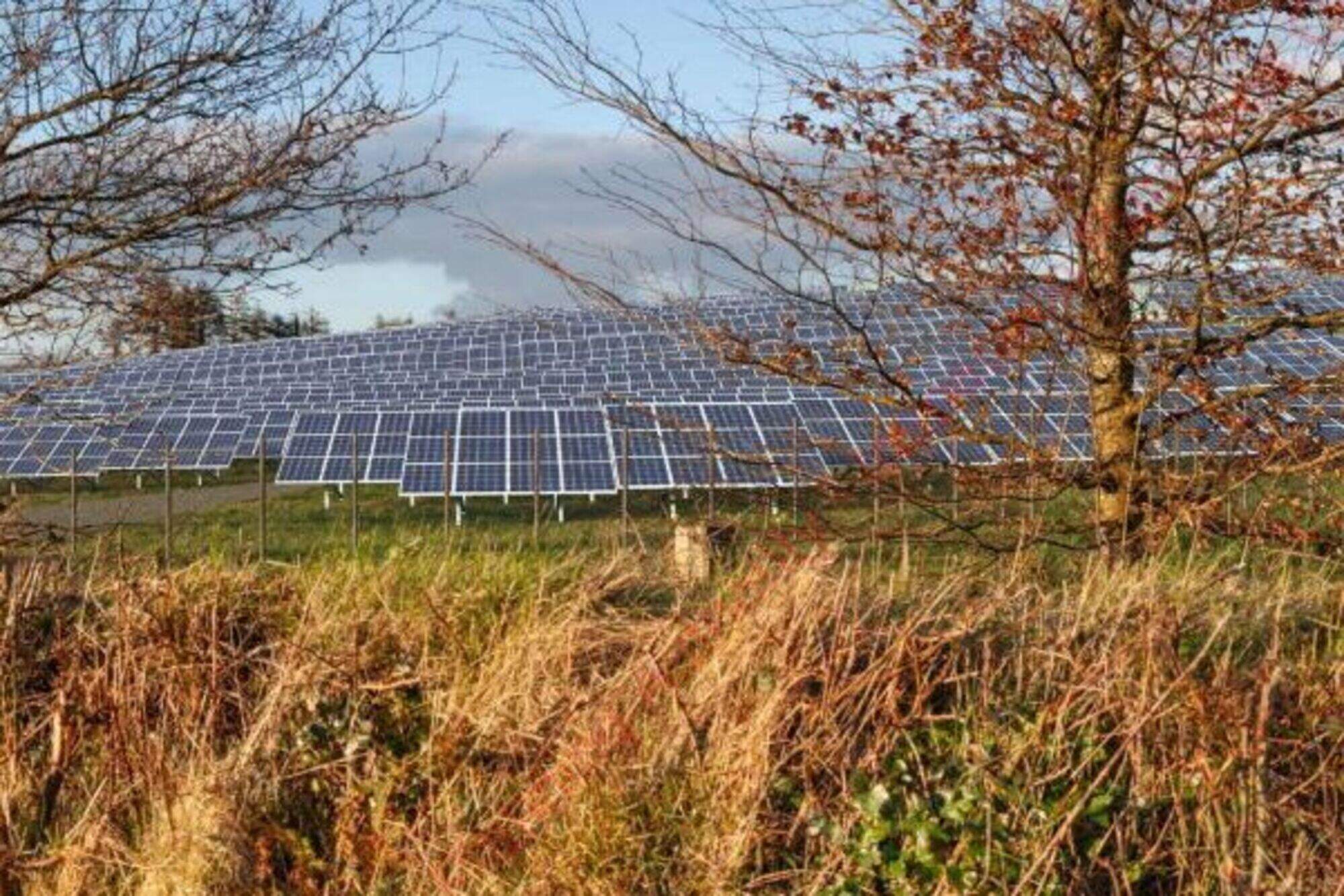Plans resubmitted for major 151-hectare solar farm in Tipperary