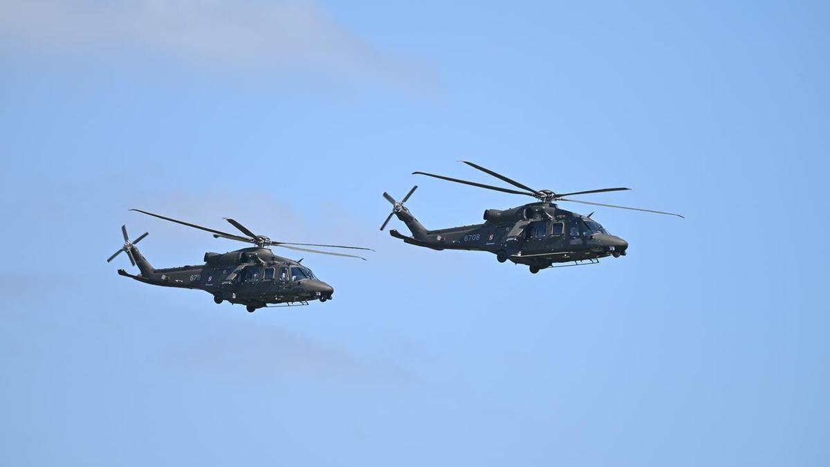Poland says 'airspace violation' caused by bird flock