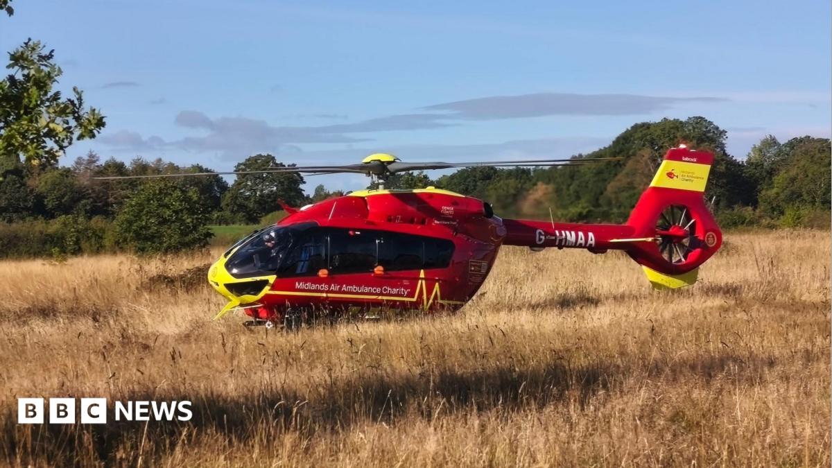 Police probe after child dies in woodland