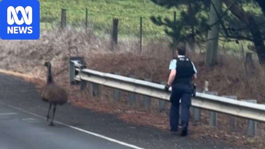 Police pursuit of emu just part of 'life of a country cop'