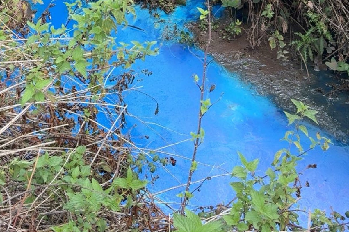 Polluted Devon river turns fluorescent blue at beauty spot