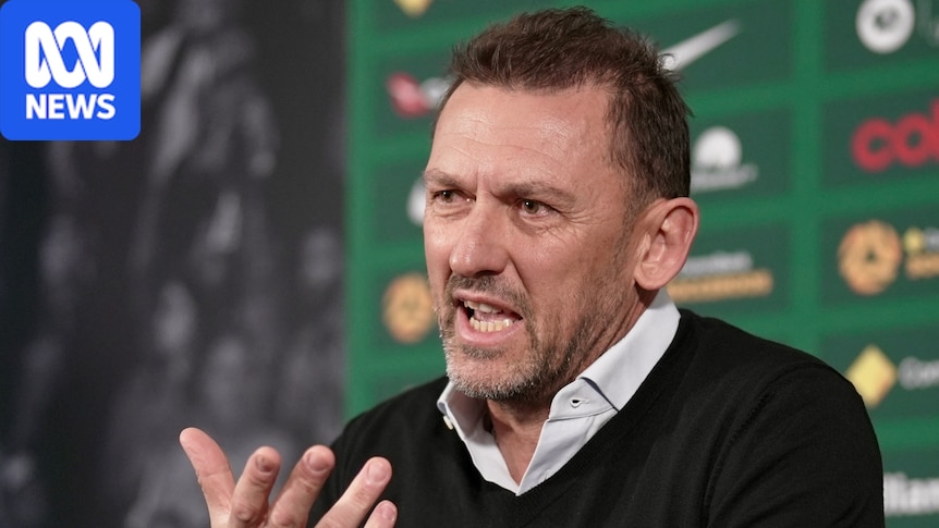 Popovic knocked back four-year Socceroos contract extension
