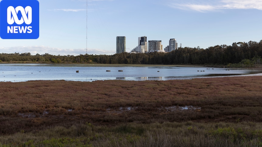 Proposal to pump 70m litres of treated wastewater into Parramatta River