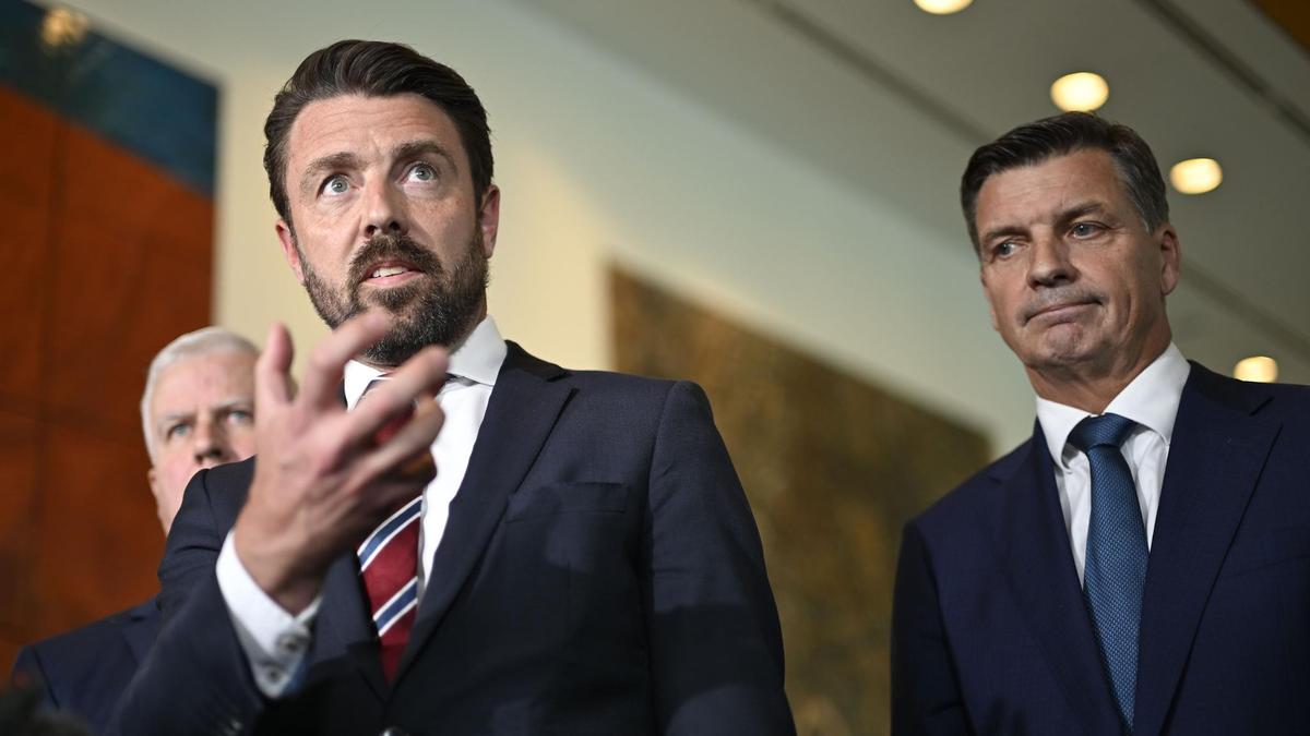 Push to criminalise flag burning ‘not about’ One Nation, Angus Taylor says