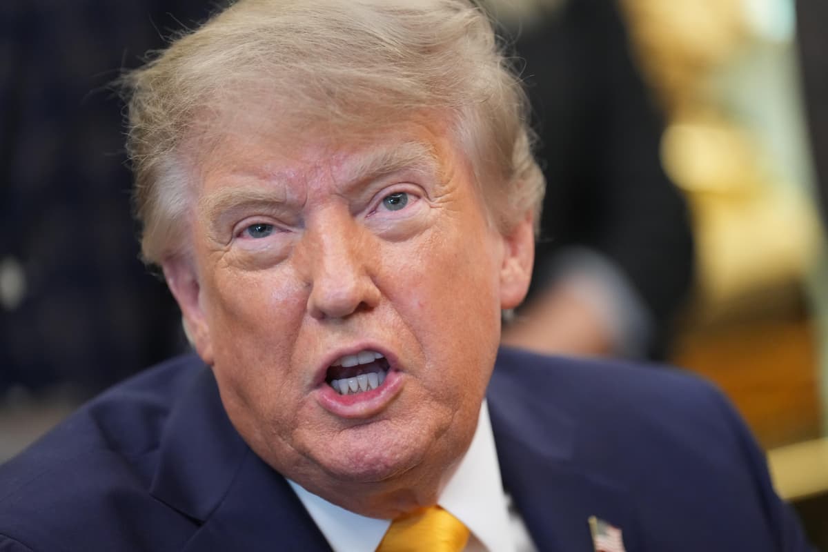 Putin not looking to attack Nato territory, says Trump despite drone strike bid
