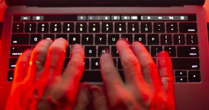 RCMP ‘monitoring’ reports of massive North American drivers’ licence hack