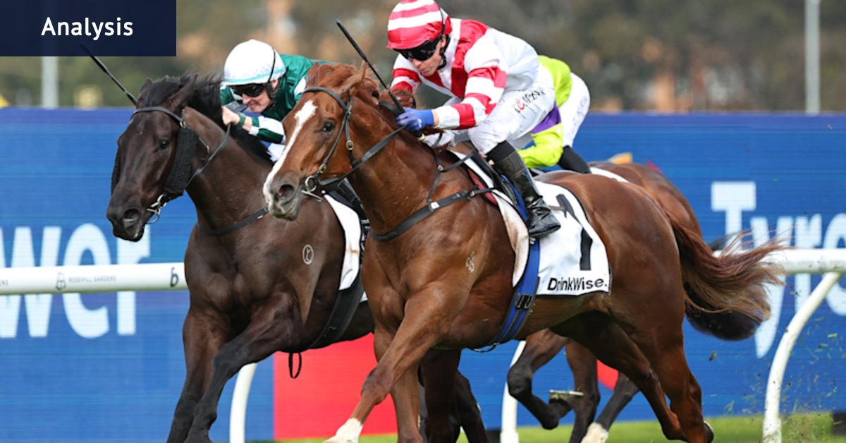Race-by-race tips and previews for racing at Rosehill on Saturday