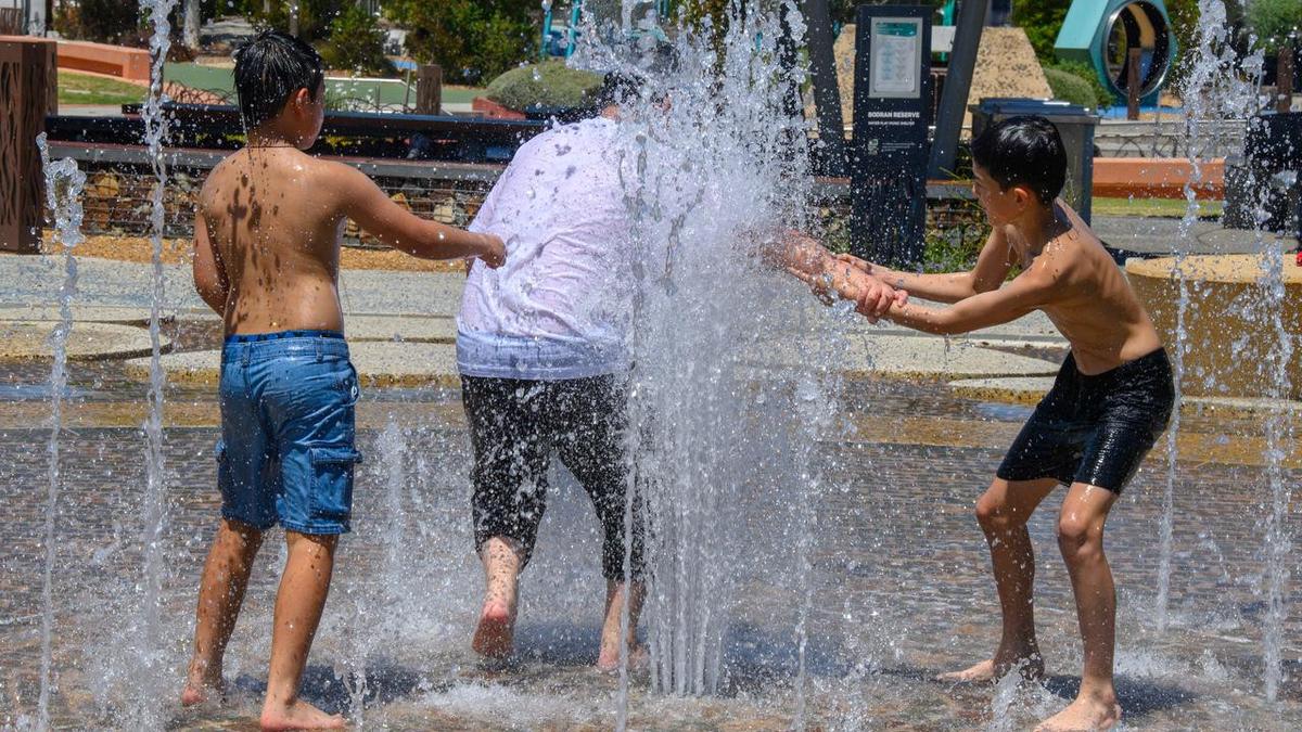 Raising boys to men during age of toxic 'manosphere'