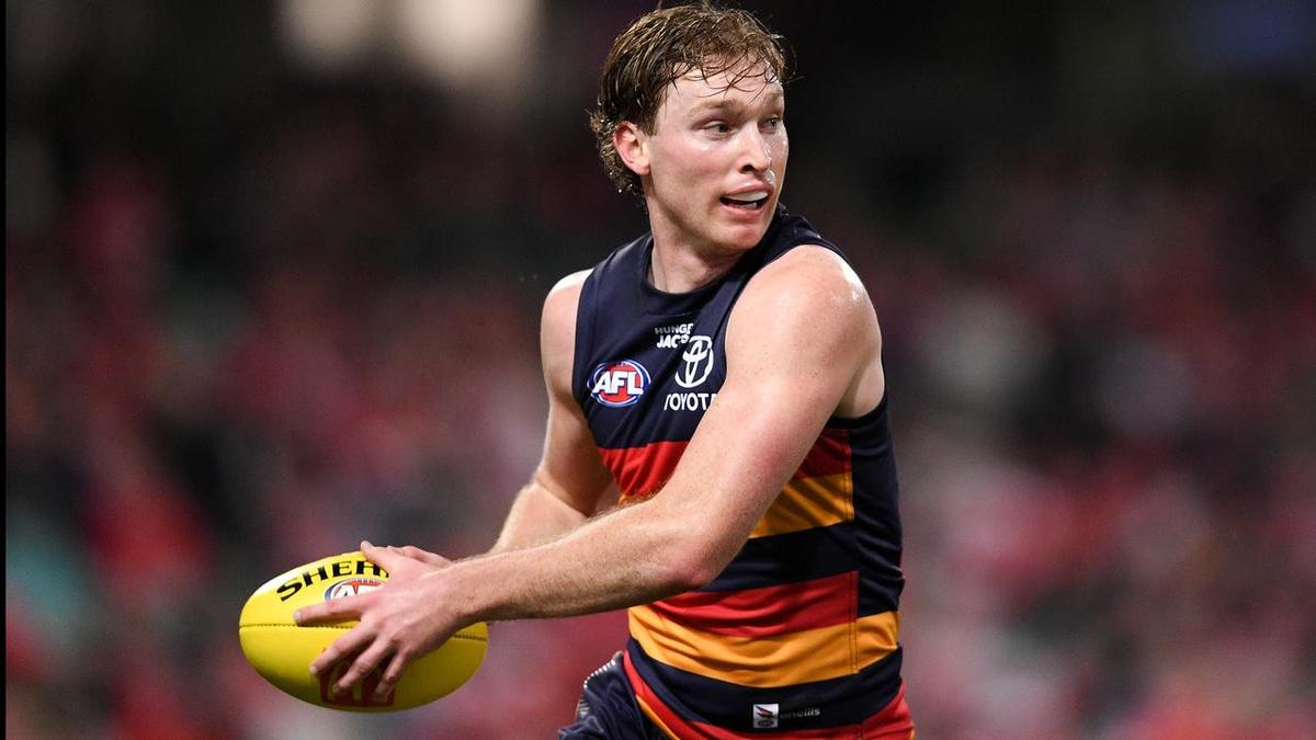 Rayner fined for staging again, Crows defender banned