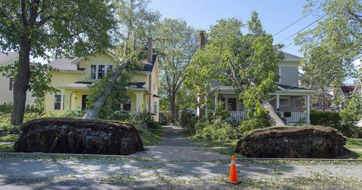 Record slow hurricane season, but Maritimers warned to stay vigilant about extreme weather