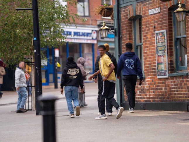 Reform UK hires patrol to monitor ‘asylum seeker’ areas