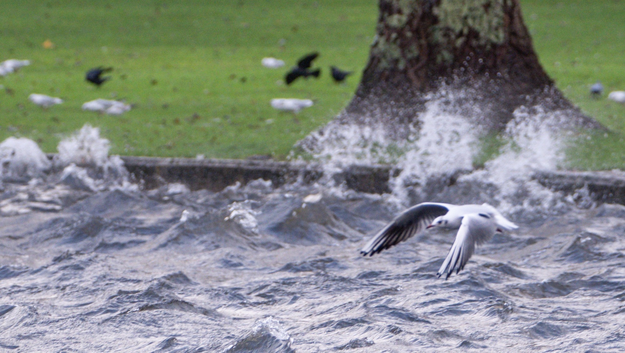 Revealed: Met Éireann announces new list of storm names for winter