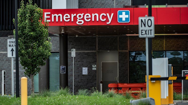 Revealed: The Sydney hospital where one in 10 patients wait more than 43 hours for a bed