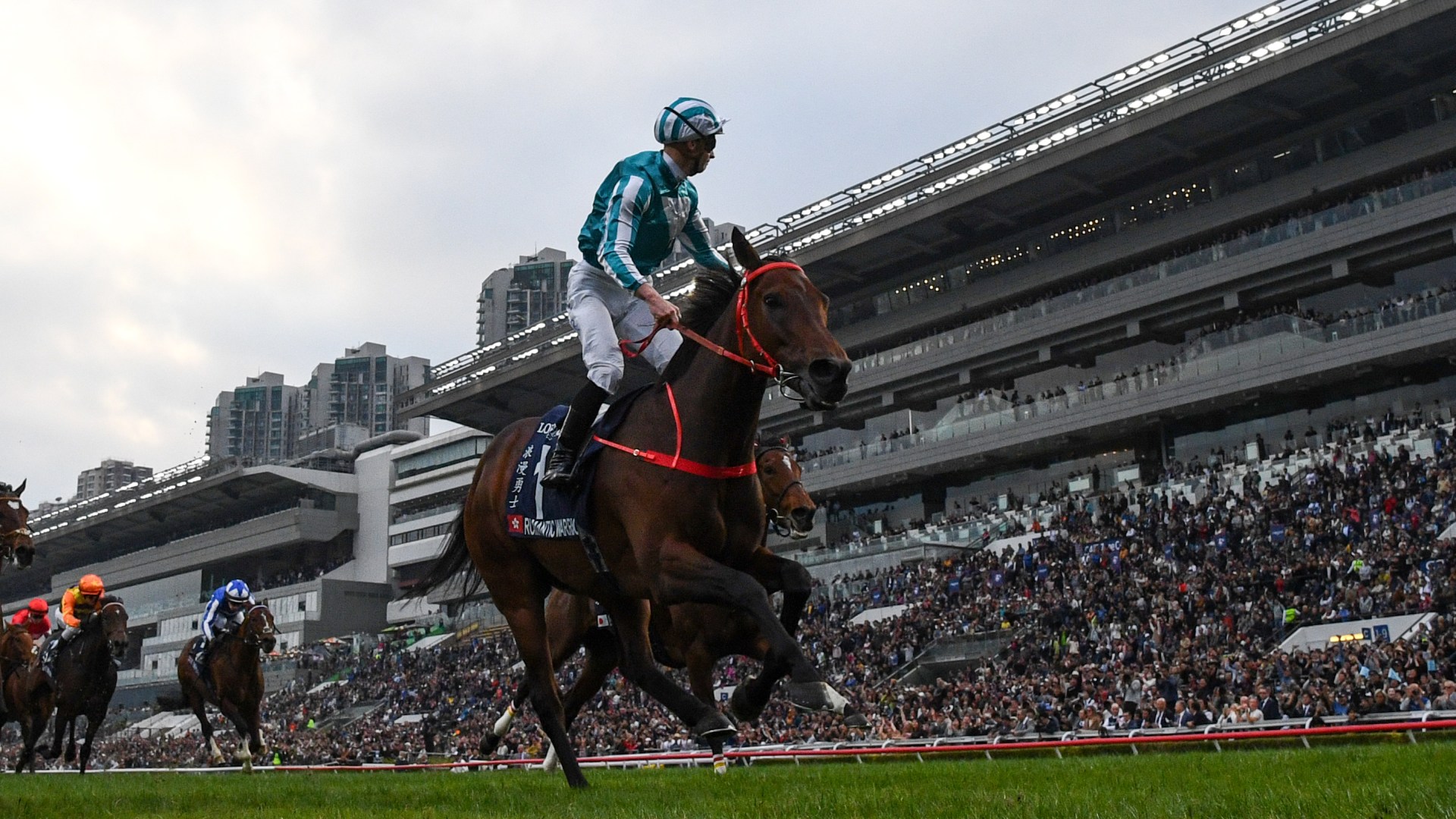Richest racehorse in history with more than £28MILLION earnings retired with immediate effect due to injury