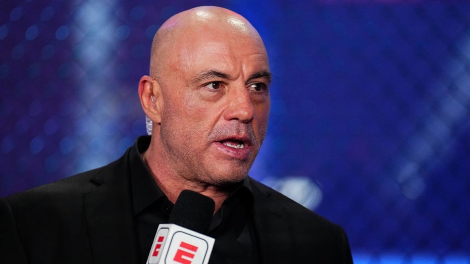 Rogan shreds supporters of Lindsay Clancy, says they wouldn't rally if a father were on trial for same crime