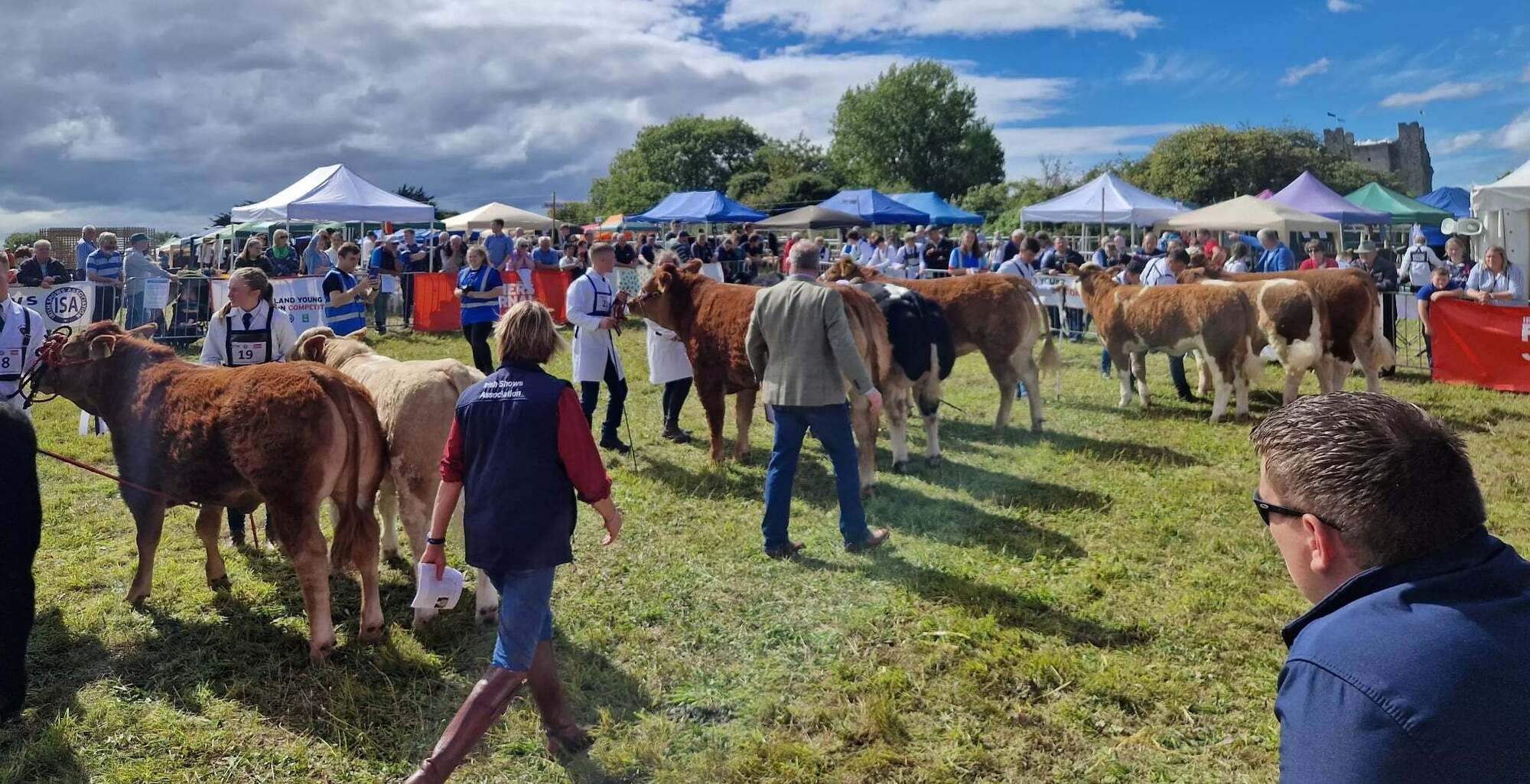 Royal Meath Show returns to Trim with family fun, livestock contests and live music this Sunday