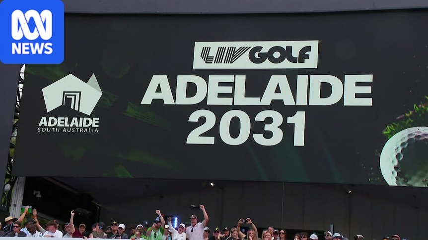 SA government backed a risky horse in LIV Golf — lucky it hedged its bets