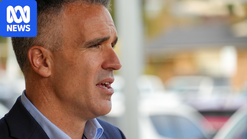 SA premier warns Labor and Coalition against 'race to bottom' on immigration