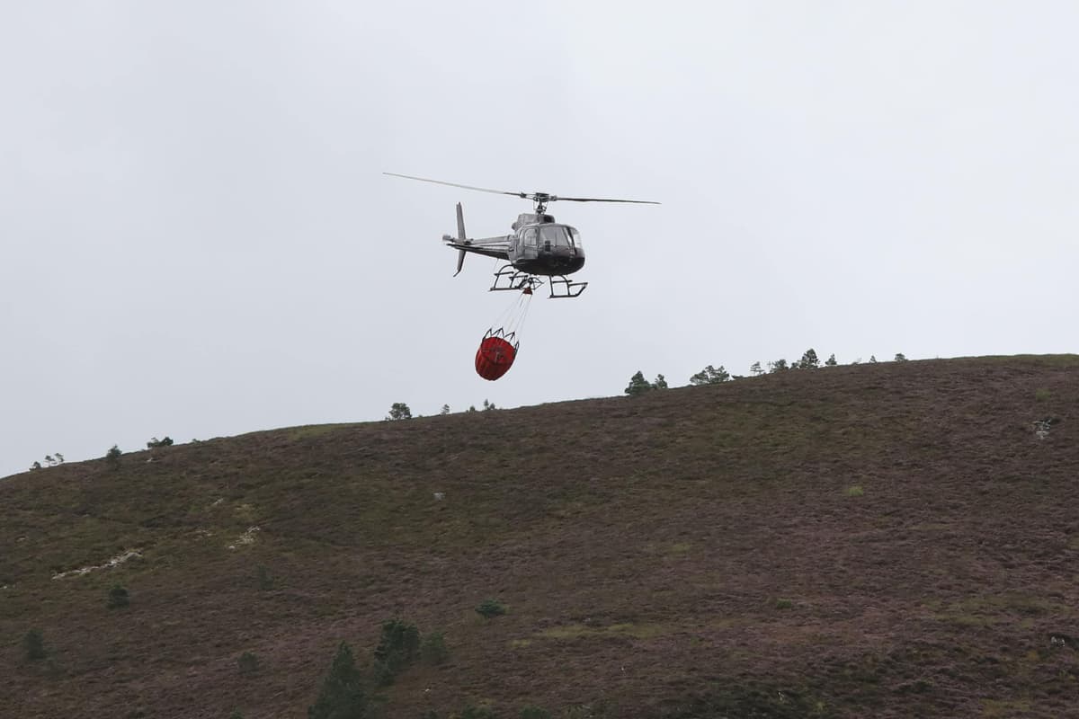 SNP ministers ‘knew UK military did not have support asked for during wildfire’