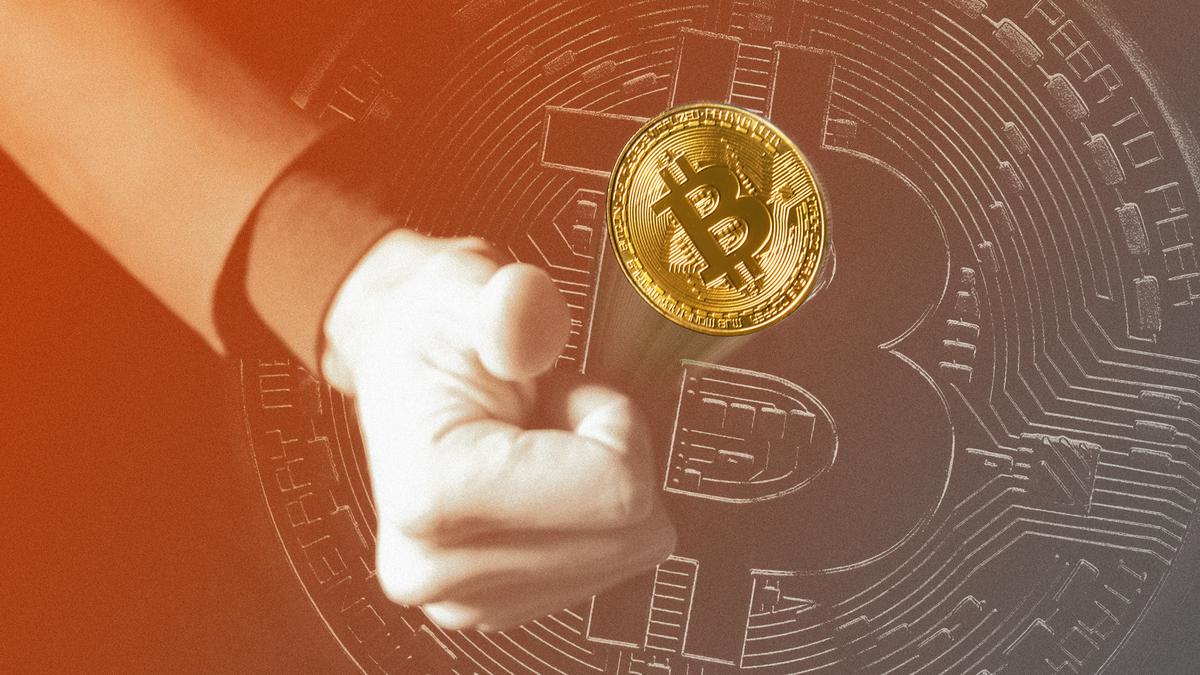 Sarah Wells: Here’s how to survive your first step into the world of cryptocurrency investment