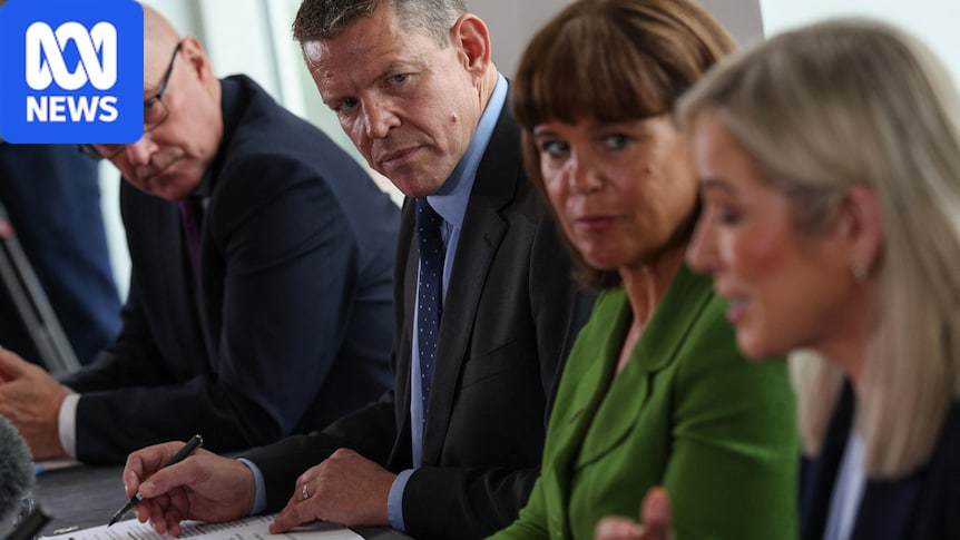 Scottish, Welsh and Northern Irish leaders unite in push to leave UK