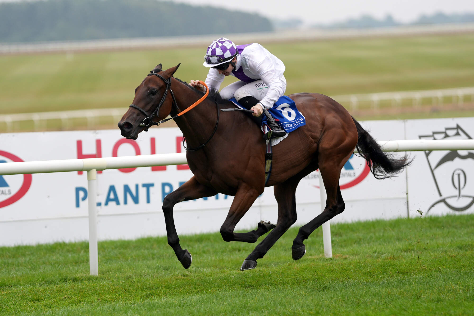 Sea Of Rain can pour it on for Jim Bolger and derail Chelsea’s Reece James’ bid for Doncaster glory