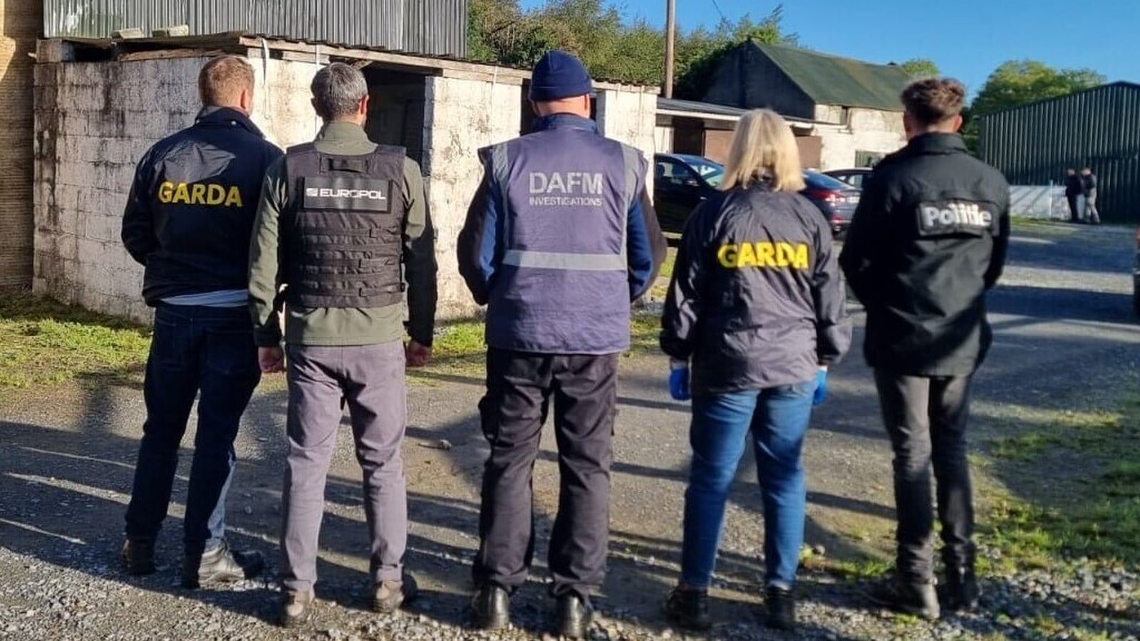 Searches in Ireland targeting horse trafficking network