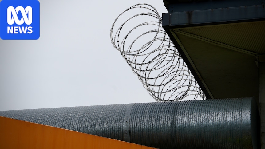 Self-harm, serious assaults recorded across immigration detention centres
