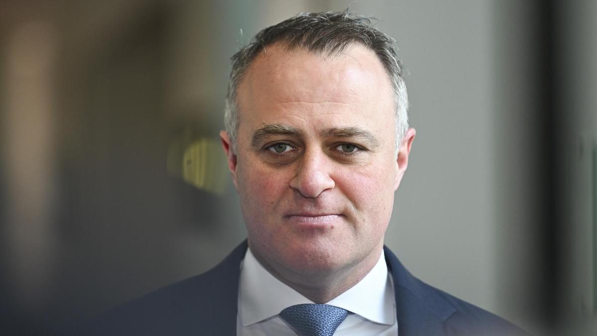 Shadow treasurer Tim Wilson denies being privy to Sussan Ley superannuation policy similar to One Nation’s