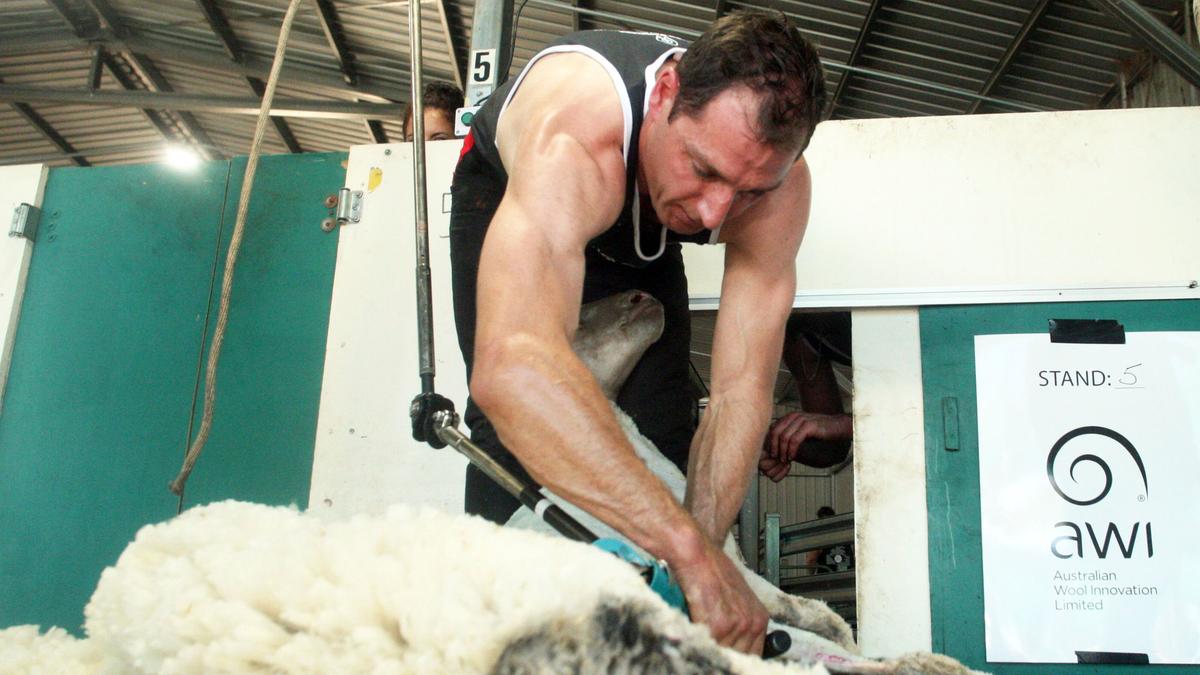 Shear bliss for Corrigin’s two open champions
