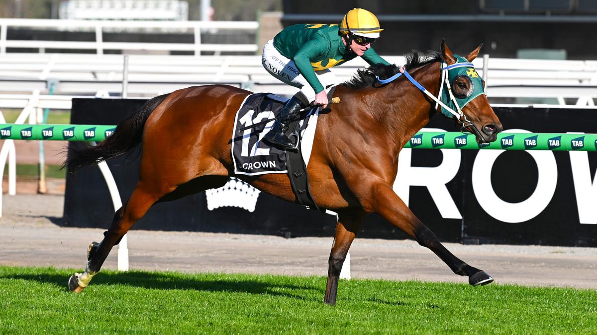 Sheza Alibi grabs more Group 1 glory over some of the nation’s best with decisive Makybe Diva win