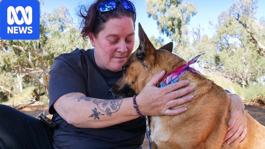 Shire confirms five dogs poisoned on two streets, killing three