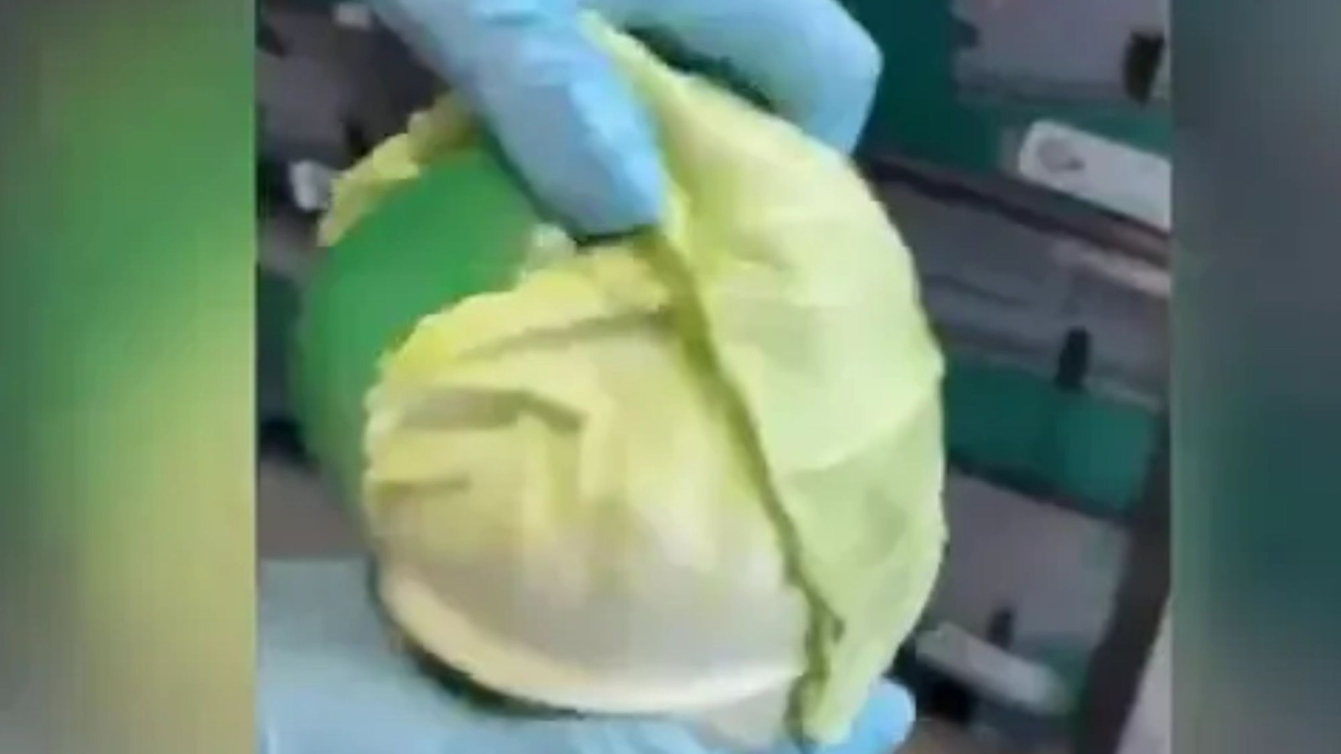 Shocking moment cops uncover almost one-tonne of meth disguised as hundreds of cabbages