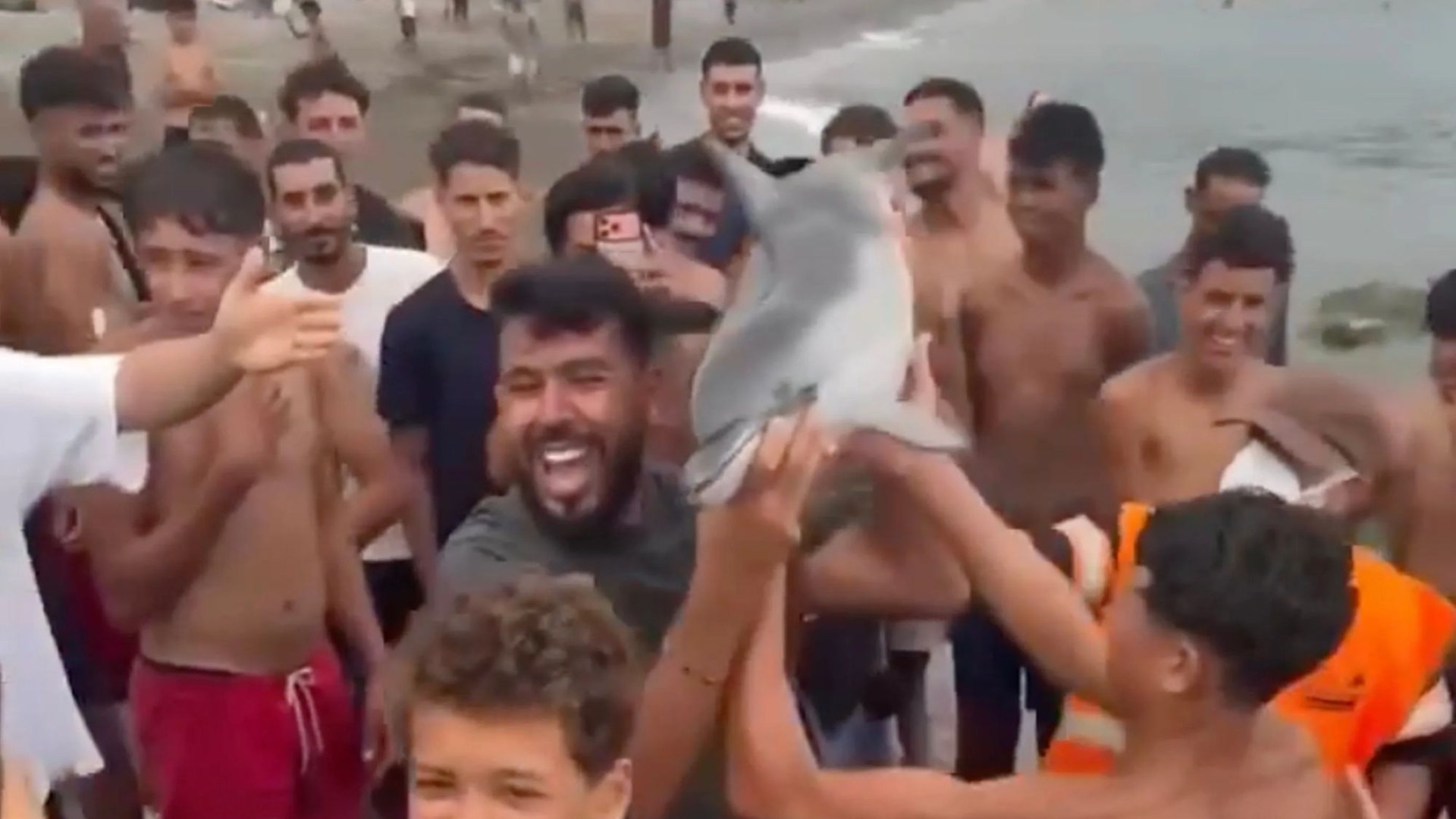 Sickening moment Ceuta migrants drag baby dolphin from sea & hold it like trophy before ‘beating it to death with stick’
