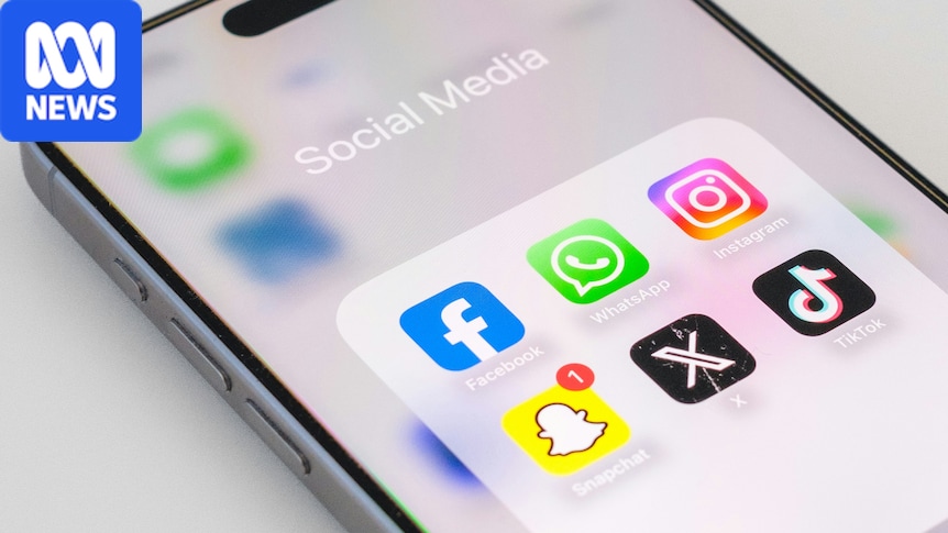 Social media platforms to be forced to offer algorithm opt-out